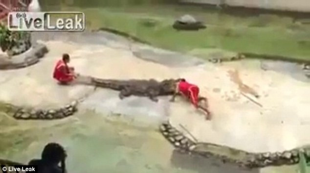Dresorul si-a pus capul in gura crocodilului. Ce a urmat i-a ingrozit pe spectatori. VIDEO