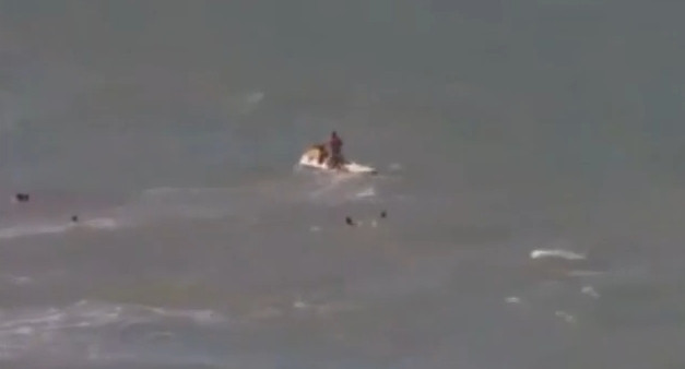 Era la cateva secunde de a fi salvata de la inec, insa un rechin a atacat-o. VIDEO SOCANT