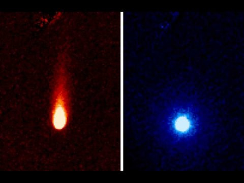 Spectacolul pe care "cometa secolului" il va realiza in curand: "Va produce aceeasi lumina ca Luna"