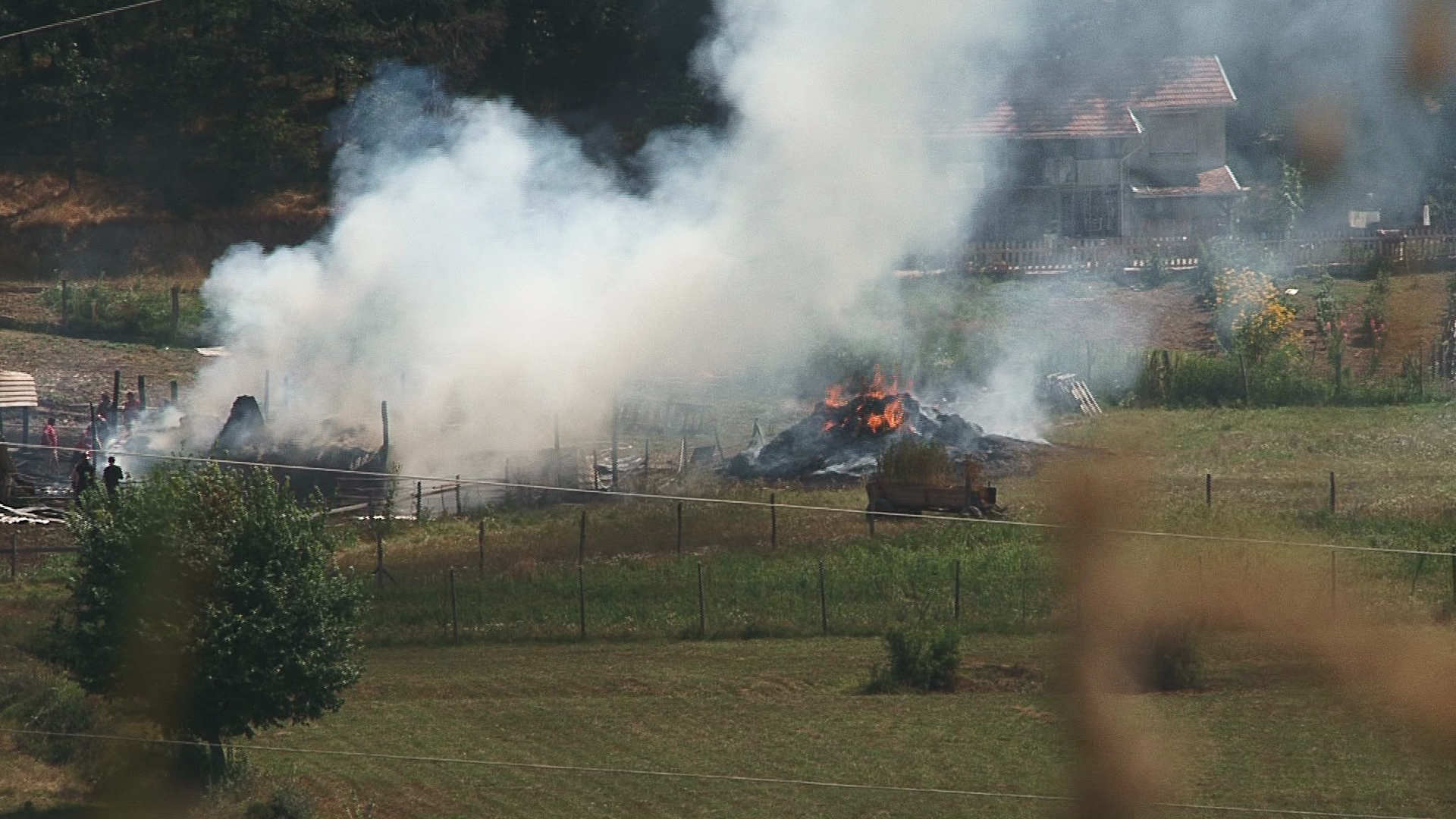 VIDEO. Incendiu violent la o stana din judetul Bihor. Un saivan a ars din temelii