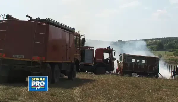 VIDEO. Incendiu violent la o stana din judetul Bihor. Un saivan a ars din temelii