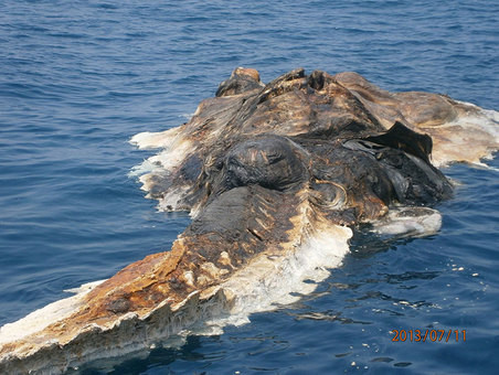 "Creatura misterioasa" din apele Golfului Persic a fost identificata: ce a pozat armata iraniana