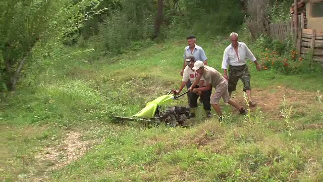 Un barbat a murit intepat de viespi, dupa ce a lovit din greseala cuibul insectelor cu motocoasa