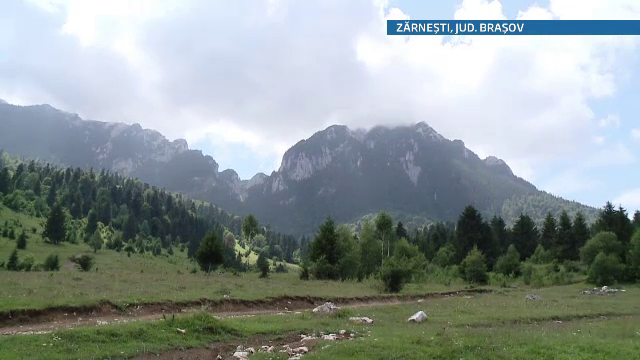 Un turist polonez, grav ranit dupa ce a cazut intr-o prapastie din muntii Piatra Craiului