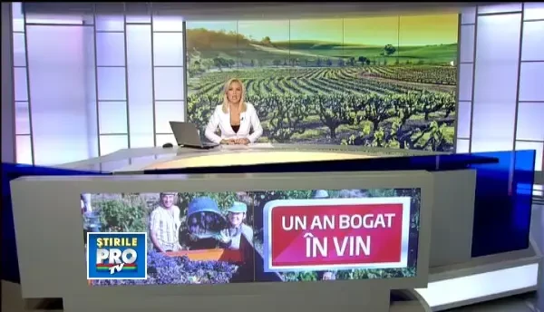 Productie record de struguri in Romania. Viticultorii sustin ca vom avea vin de calitate superioara