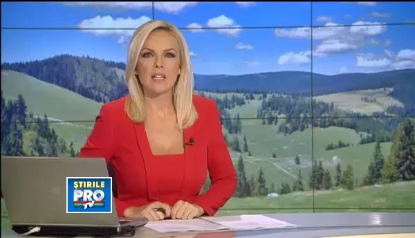 Turistii maghiari cumpara casute de vacanta la Padis, una dintre cele mai frumoase zone din tara