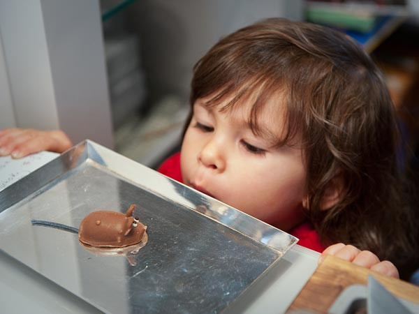 Nu incercati sa va impacati copilul cu o prajitura. Riscurile comportamentului dependent