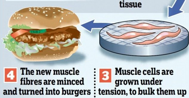 hamburger artificial