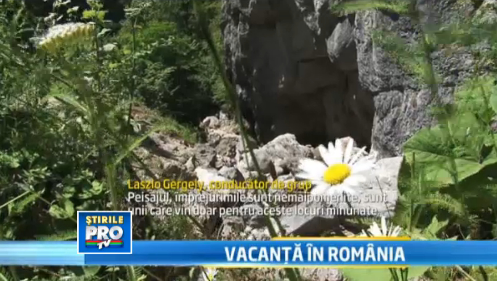 Turistii maghiari cumpara casute de vacanta la Padis, una dintre cele mai frumoase zone din tara