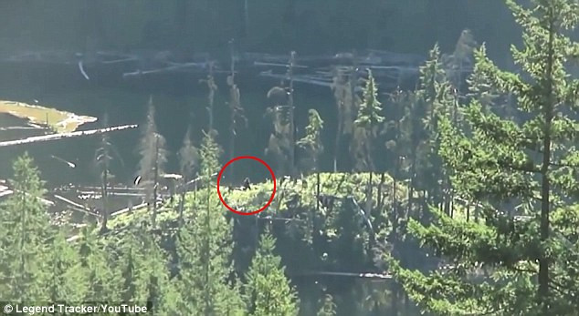 Bigfoot
