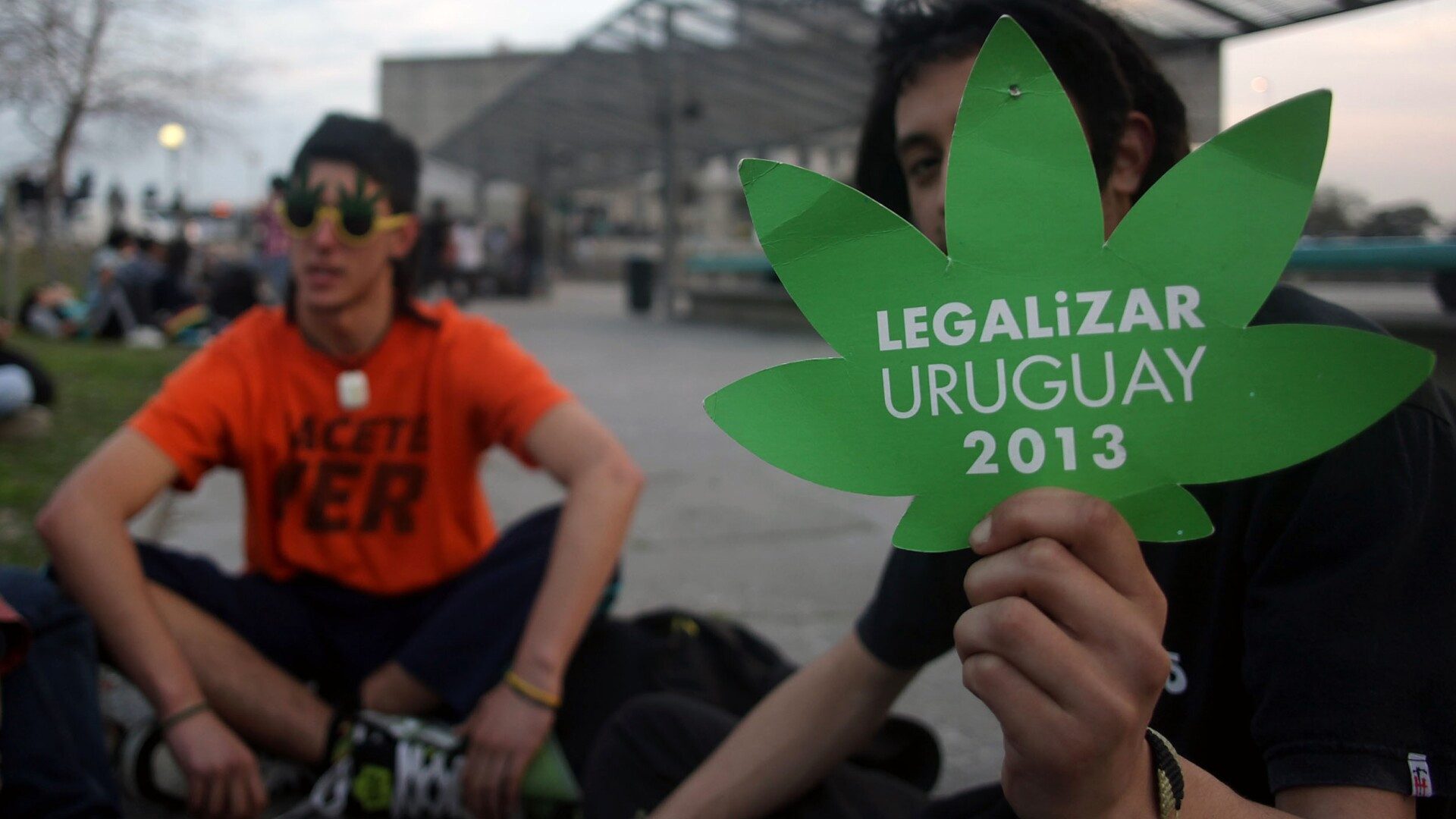 Uruguay ar putea fi prima tara cu o piata legala de productie, distributie si vanzare a marijuanei