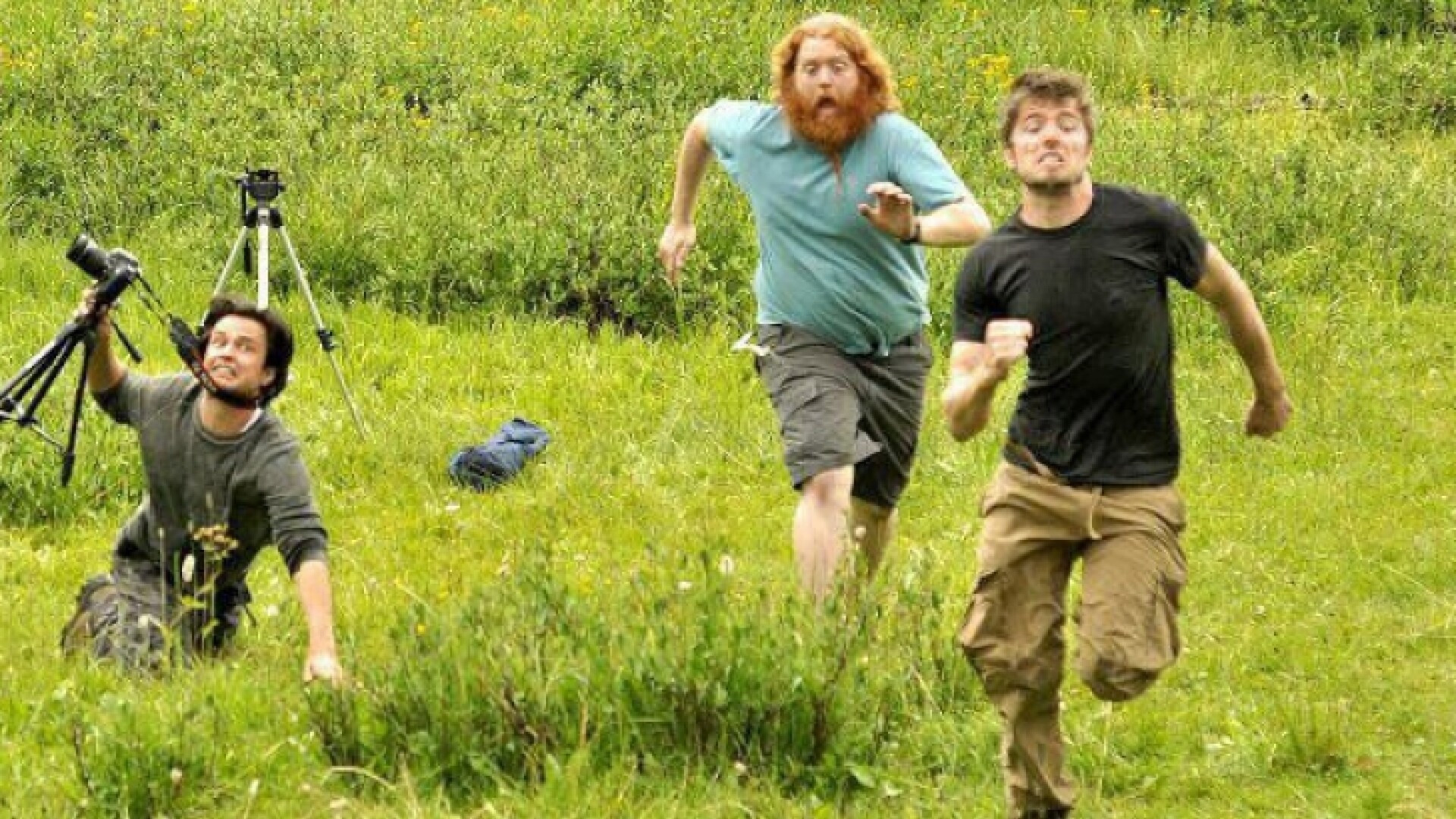 Imaginea care a ajuns viral pe internet. De ce fug acesti fotografi