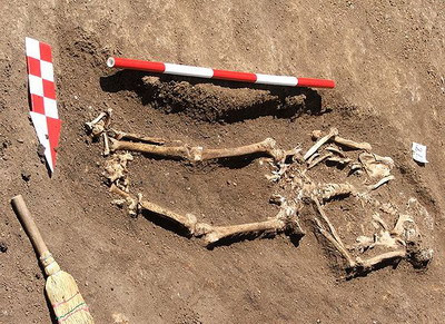 Schelet uman fara cap, gasit de arheologi in zona Curtii Domnesti din Targoviste