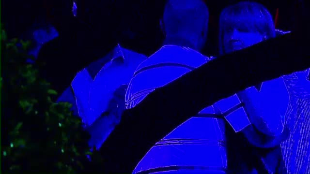 Seara lunga pe litoral pentru Traian Basescu. Presedintele a dansat alaturi de sotie la restaurant