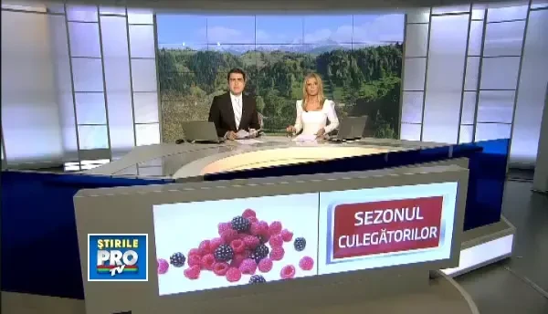 Romanii saraci si fara carte isi cauta salvarea la munte. Zeci de familii culeg fructe de padure