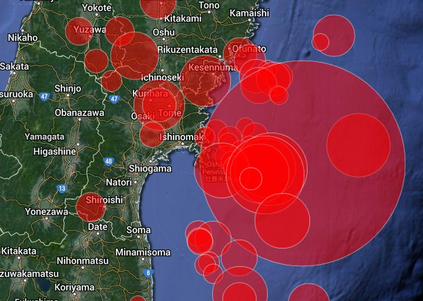 Un cutremur cu magnitudinea de 6,0 a avut loc in Japonia