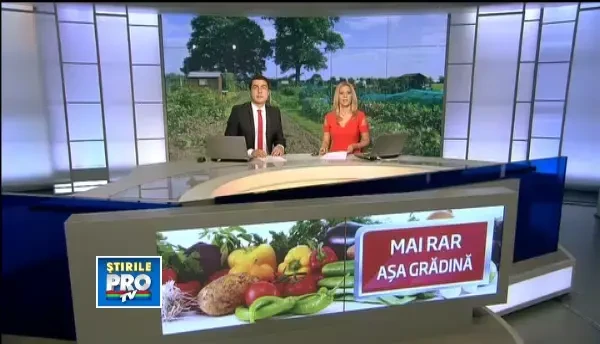 Afacerea cu legume exotice pornita de un roman la Sibiu. Produsele sale sunt vanate de restaurante