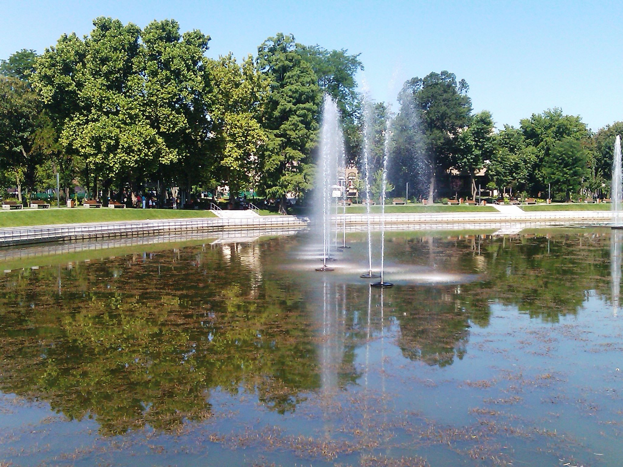 Lacul din Arad, sufocat de alge. Primaria e depasita de situatie, vizitatorii sunt dezgustati