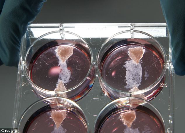 Primul burger cu carne creata in laborator a fost gatit si mancat in direct: Uite ce au spus specialistii la final: