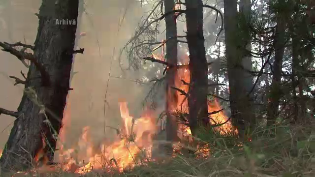 300 de pompieri se lupta cu un incendiu care a cuprins peste 100 de hectare de padure in Banat
