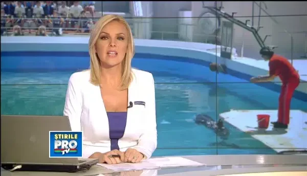 Cele doua femele-delfin din Constanta refuza sa mai cante. Simt lipsa partenerului lor mort