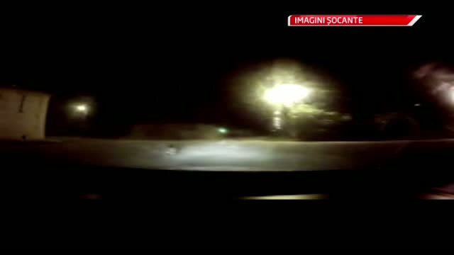 IMAGINI SOCANTE. Vanatoare de caini pe strazile din Braila. Ce masuri poate lua primaria