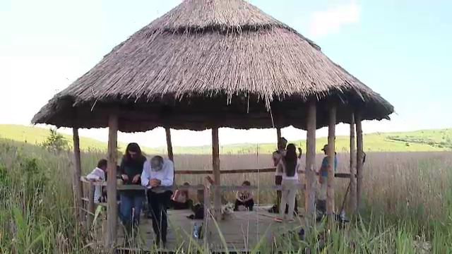 Paradisul nestiut din inima Transilvaniei. O delta in miniatura ii asteapta pe turisti langa Cluj