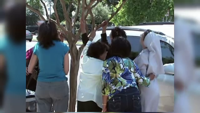 Pelerinaj la un copac din California. Mai multi credinciosi sustin ca acest arbore plange