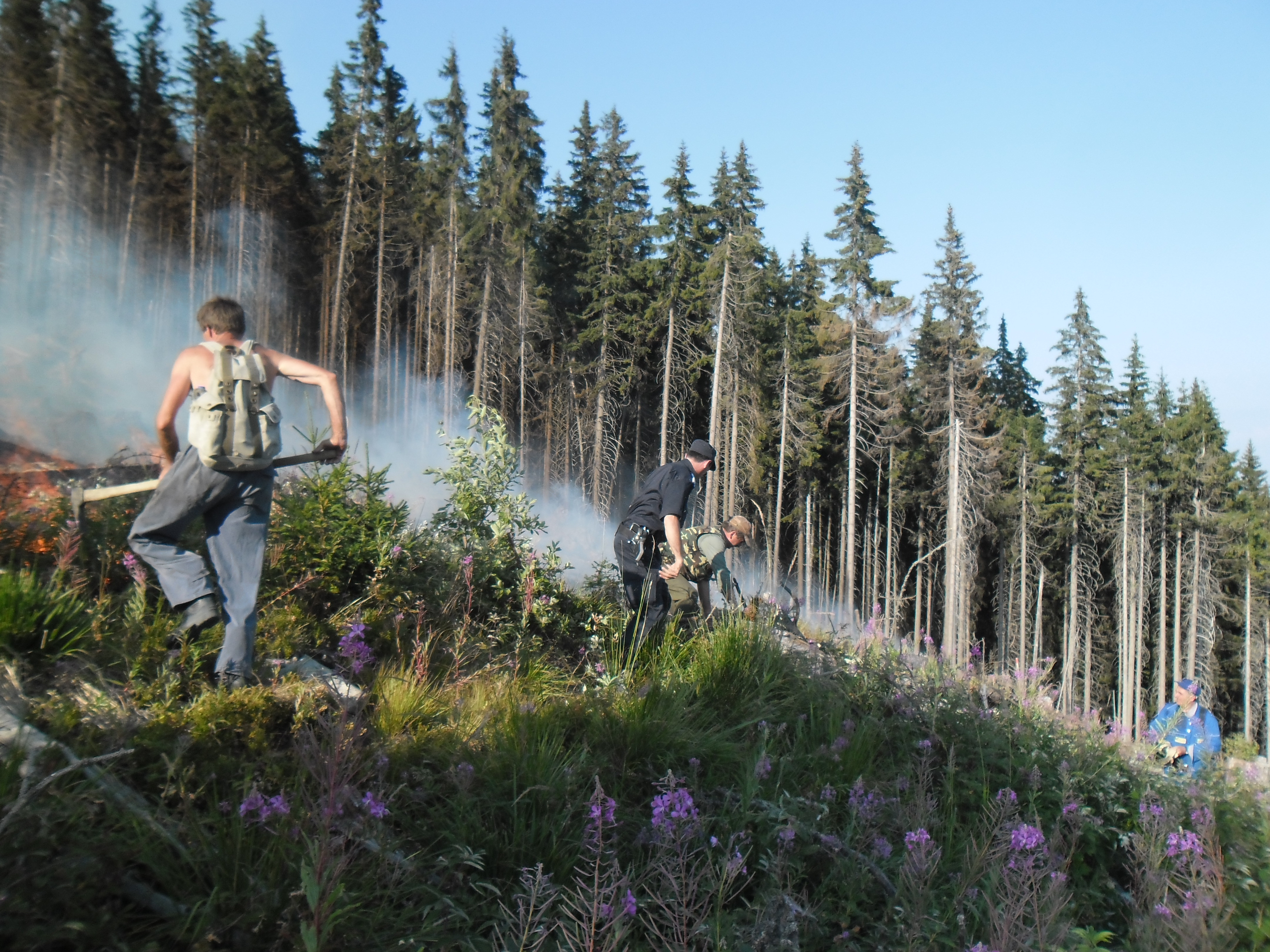Hectare intregi de padure s-au facut scrum in Retezat. Pompierii s-au luptat cu flacarile 2 zile