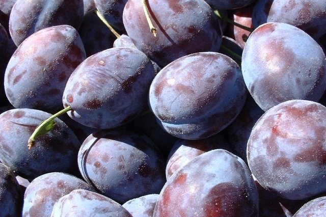 prune