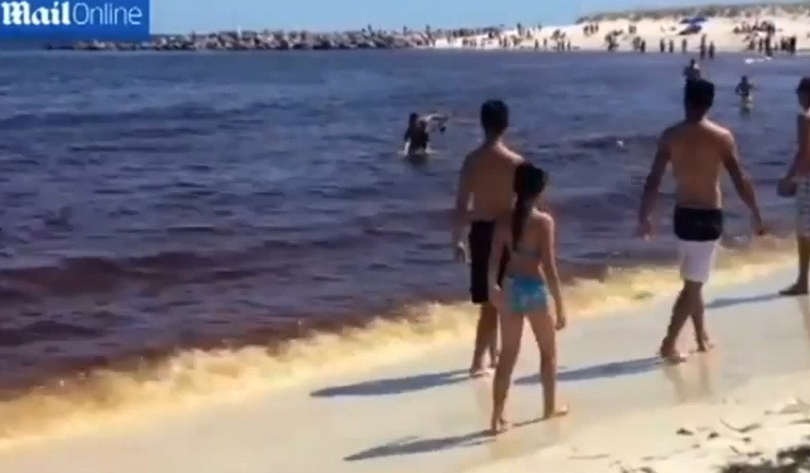 Surpriza pentru turistii de pe aceasta plaja. Ce s-a intamplat cateva clipe mai tarziu. VIDEO