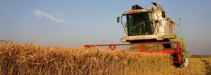 Efectele asupra PIB-ului ale unui an cu productie si exporturi record pentru ultimii 23 de ani