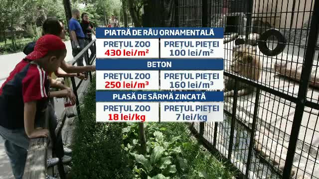 1.000 de euro/metru patrat pentru adapostul vulpilor. ZOO Galati, gaura neagra a banilor publici