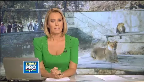 1.000 de euro/metru patrat pentru adapostul vulpilor. ZOO Galati, gaura neagra a banilor publici