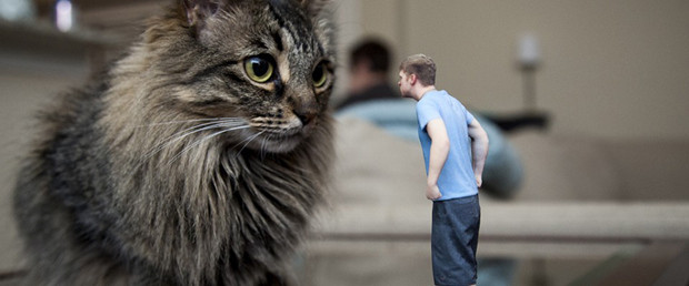 Aceasta fotografie nu este un trucaj. Afacerea unui barbat din Dallas o face posibila. FOTO