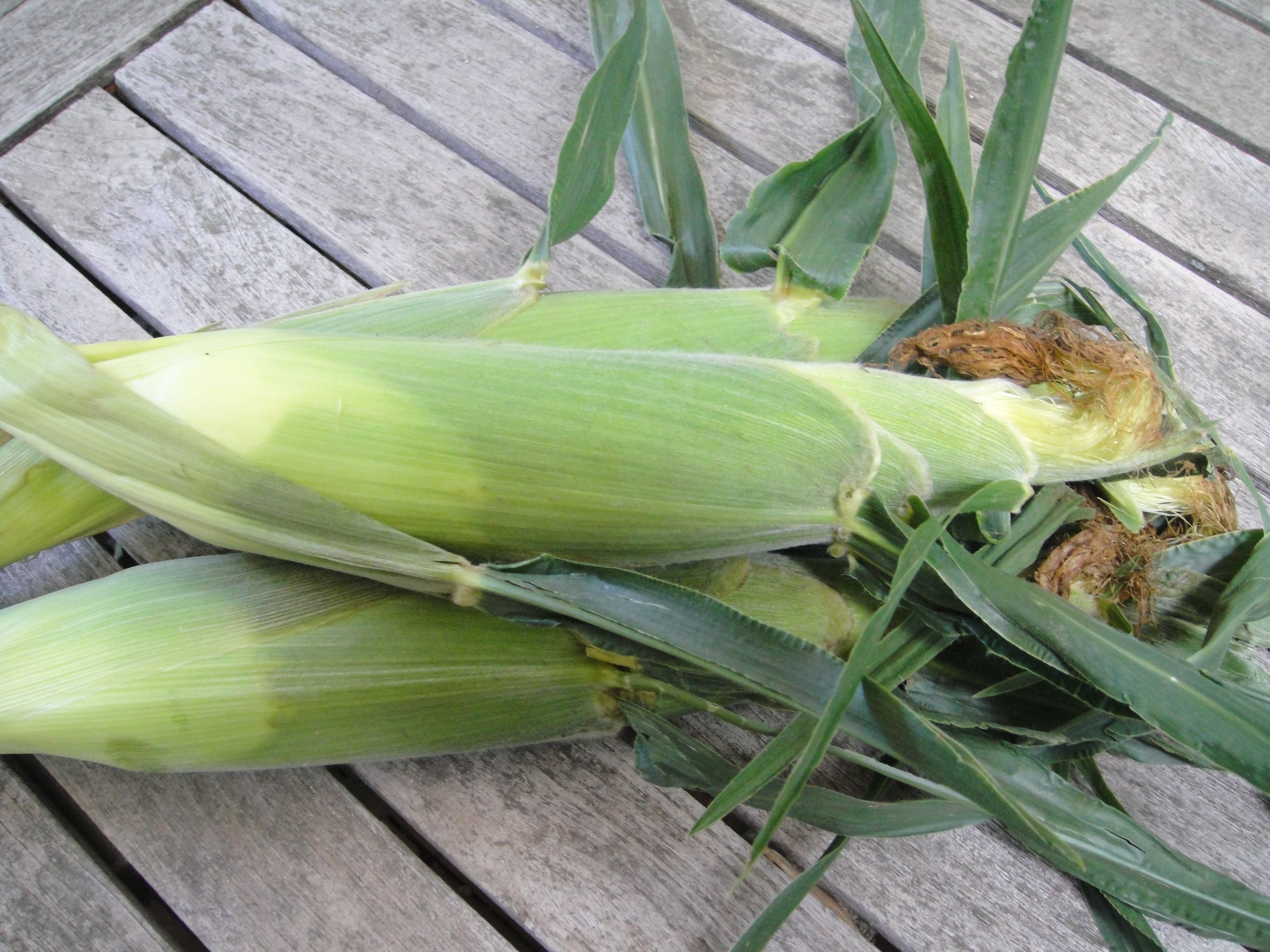 Aproape trei tone de porumb fara documente, confiscate de politistii din Bistrita-Nasaud