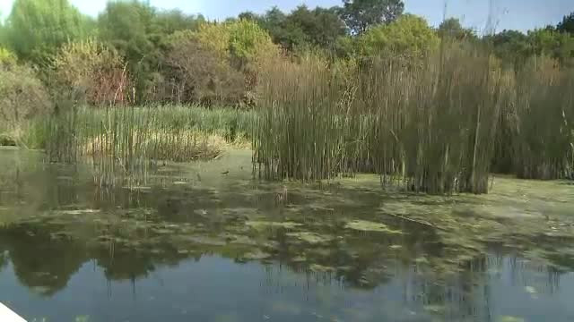 Alternative pentru Valea Prahovei sau Marea Neagra. Cum se pot relaxa orasenii aproape de casa