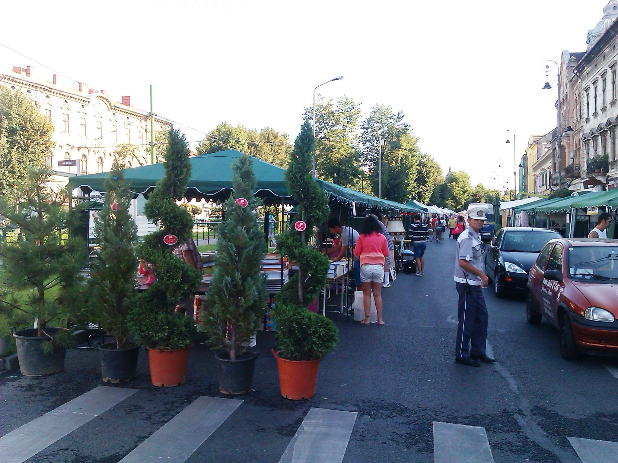 Aradul e sarbatorit incepand de astazi. Vezi cine concerteaza si ce evenimente sunt programate