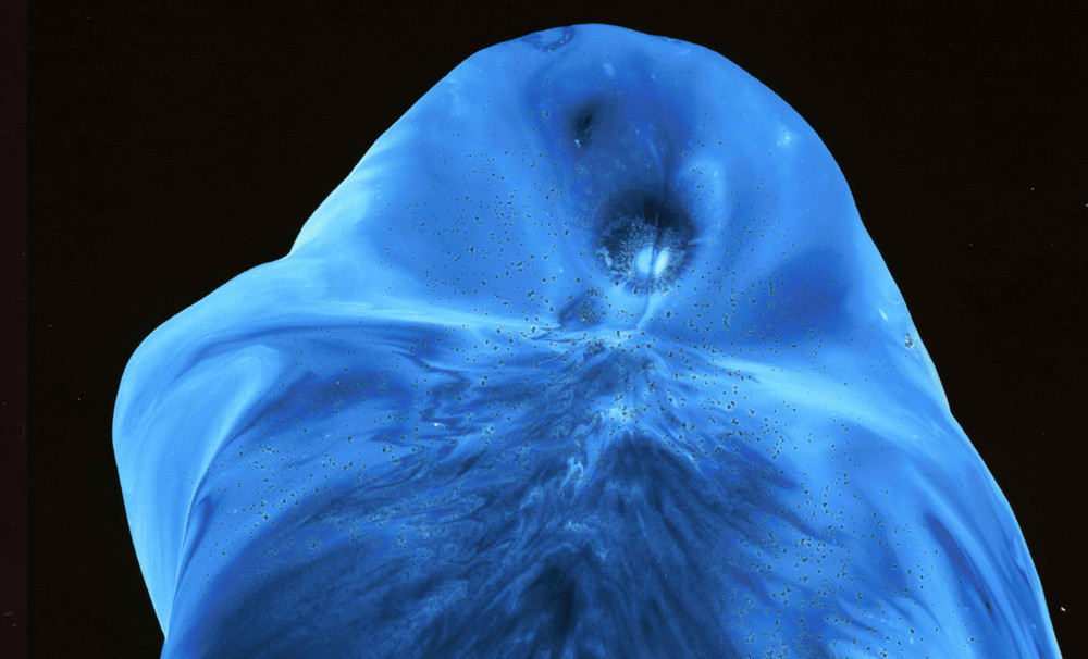 Te-ai intrebat vreodata cum arata de fapt apa pe care o bei? Fotograful acesta a surprins niste detalii pe care nu le-ai mai vazut pana acum: GALERIE FOTO