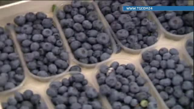 In fructele de padure importate din Romania, italienii sustin ca au descoperit virusul hepatitei A