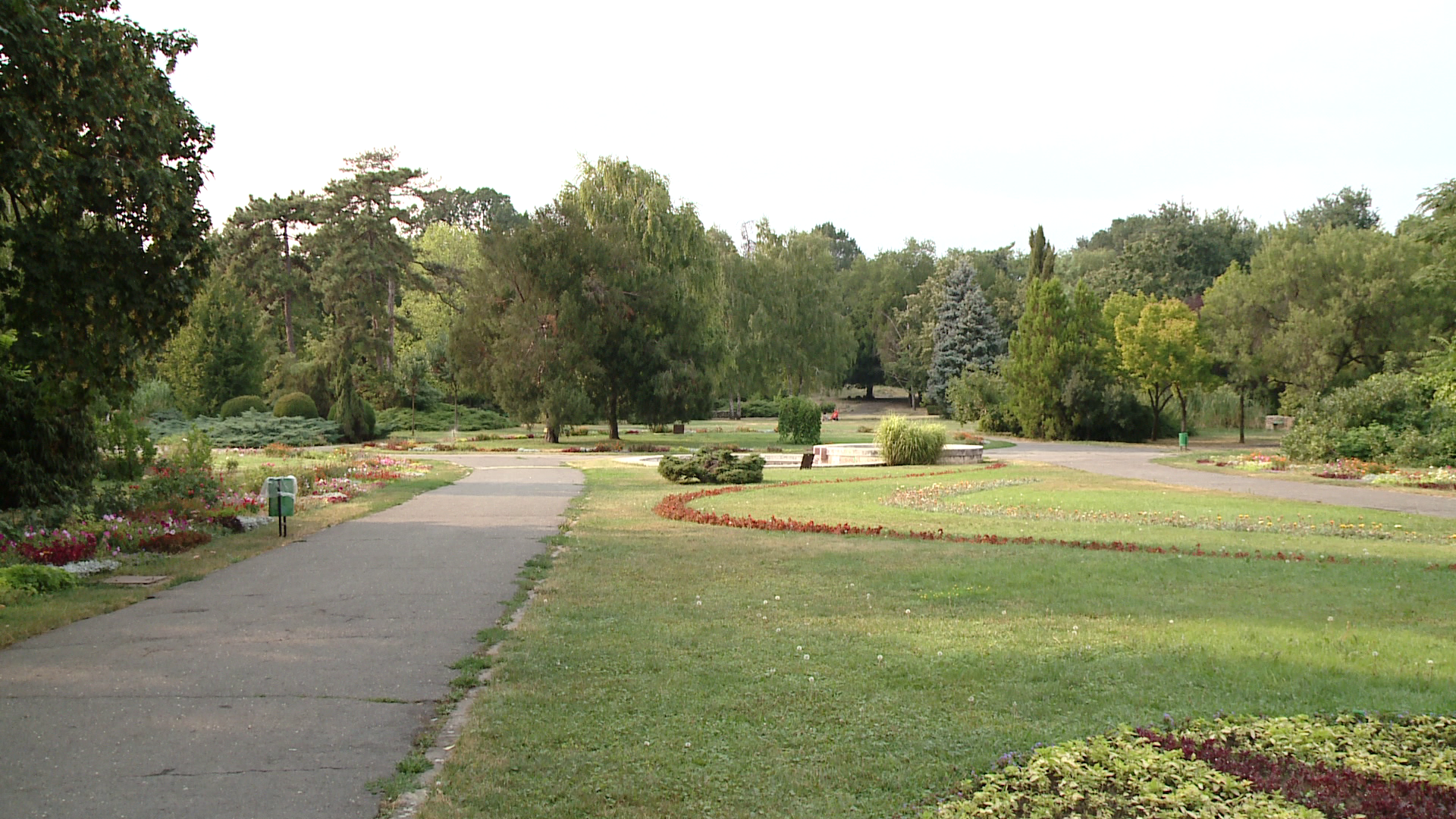 Azi este Ziua Gradinii Botanice. Timisorenii sunt invitati la un tur al gradinii, sa-i afle povestea