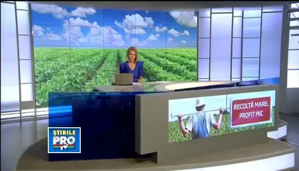 Paradox romanesc: cele mai bogate recolte din ultimii 20 de ani an baga in faliment agricultorii