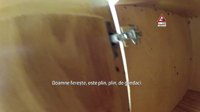 CAMERA ASCUNSA. Ghizi falsi si camere cu gandaci. Cum sunt pacaliti turistii pe Valea Prahovei
