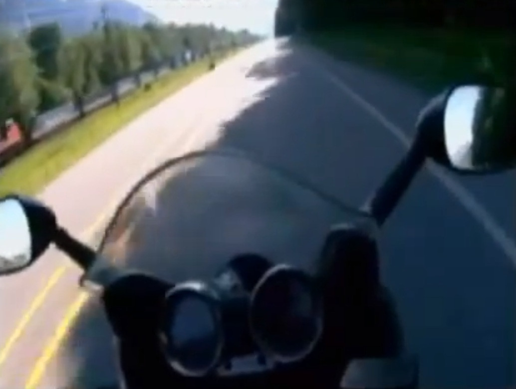 Politia din Canada publica imagini cu un motociclist ce loveste un urs la 140km/h. VIDEO