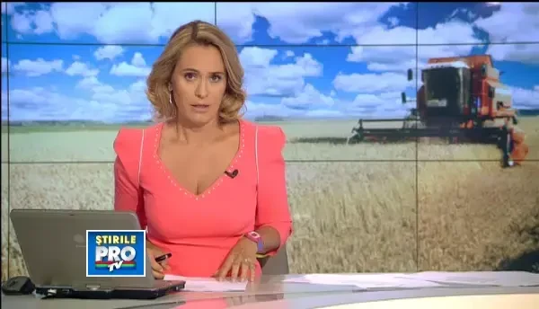 Productie record la grau, insa agricultorii nu isi recupereaza investitia. Pretul a scazut cu 30%