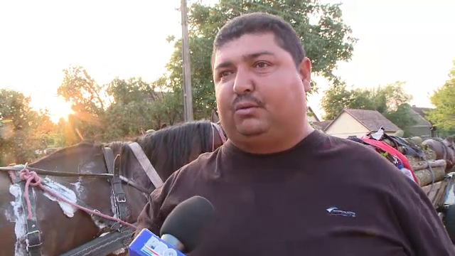 Zeci de sateni din Timis, terorizati de romii care le fura lemnele."Tiganii nu fac legea aici."