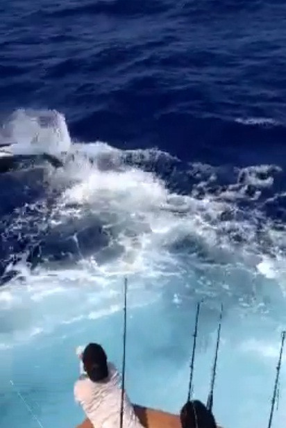 Au fost la un pas de moarte, cand au incercat sa scoata din apa captura lor impresionanta. VIDEO