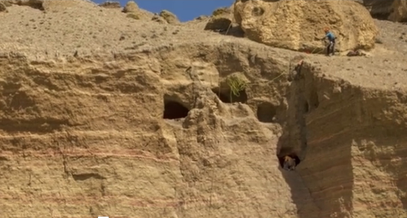 Studiul care poate schimba istoria. Omul a realizat picturi rupestre si in Asia, nu doar in Europa, acum 40.000 de ani