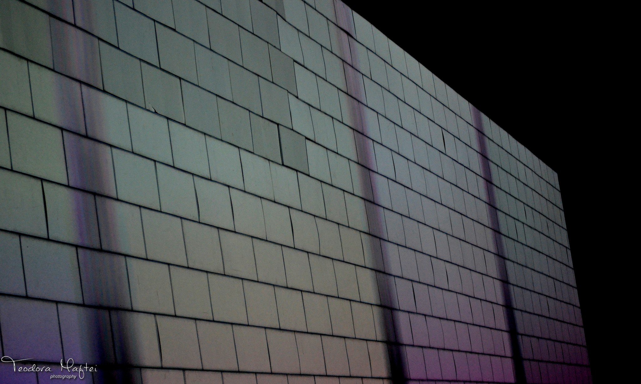 Roger Waters