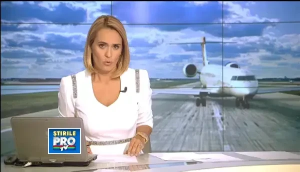 ANIMATIE GRAFICA. Ce s-a intamplat cu un avion dupa ce a lovit un stol de pescarusi la Sibiu